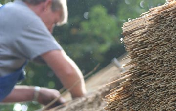 professional South Hayling thatchers